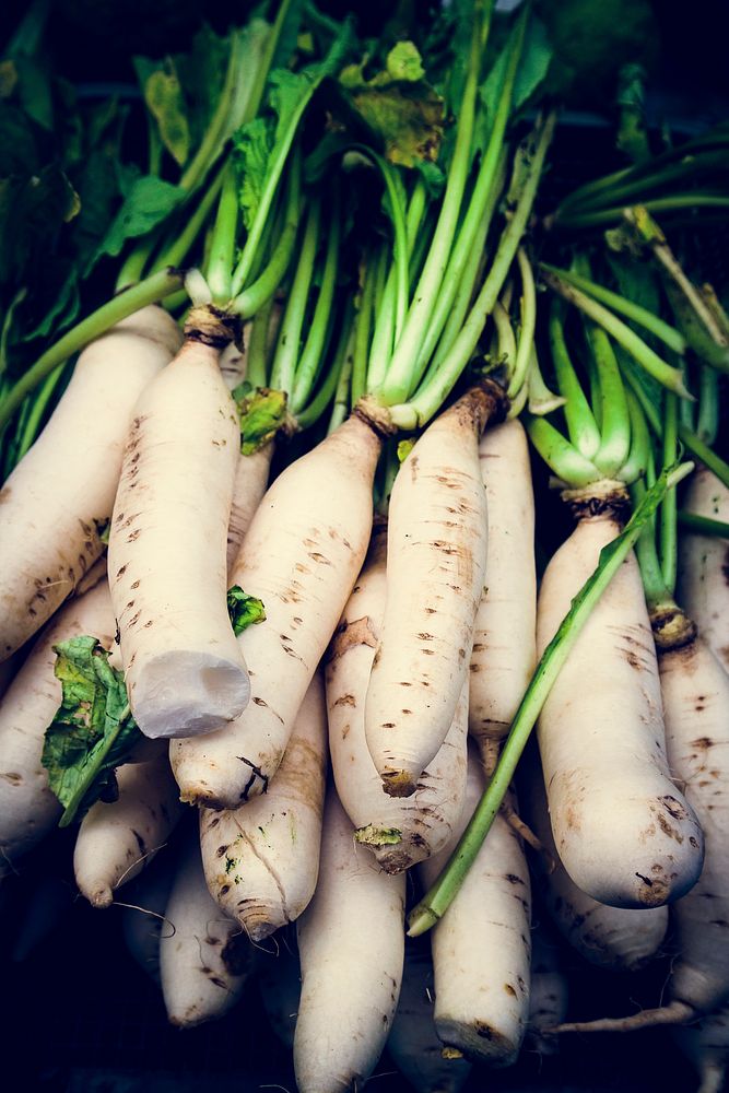 White Radish Carrot Vegetable Food