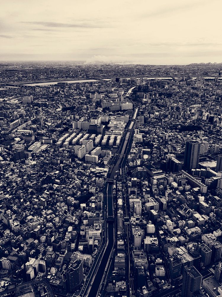 Birdseye view of city from top