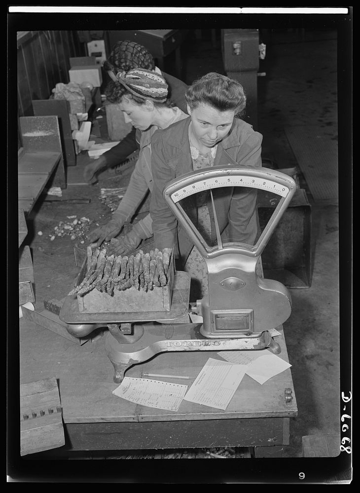 Women in war. Summer canning workers. A skilled and vastly important job in this Rochelle, Illinois, asparagus canning…
