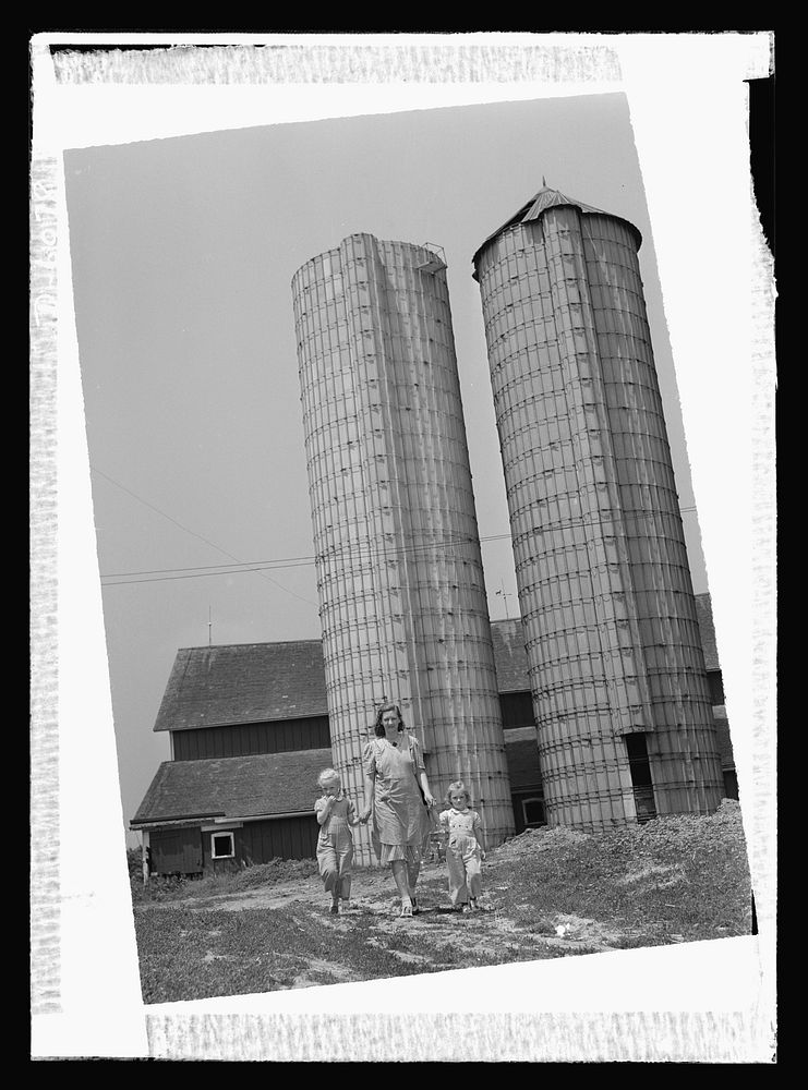 Agriculture. Women on farms. The horses, cows, and chickens cared for, Mrs. Harold Sontag of Maple Park, Illinois, starts…