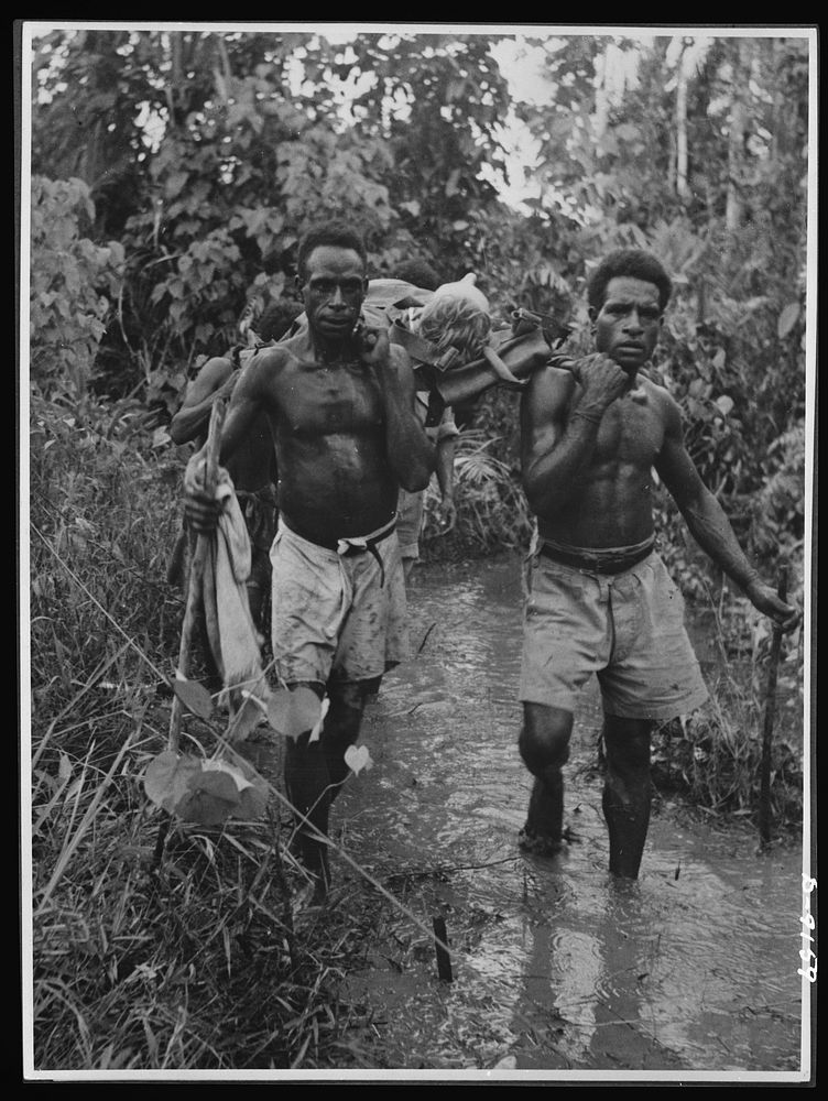 Natives aid Allied drive in New Guinea jungles. Through trackless jungles, over deep ravines and across mountain ranges, the…
