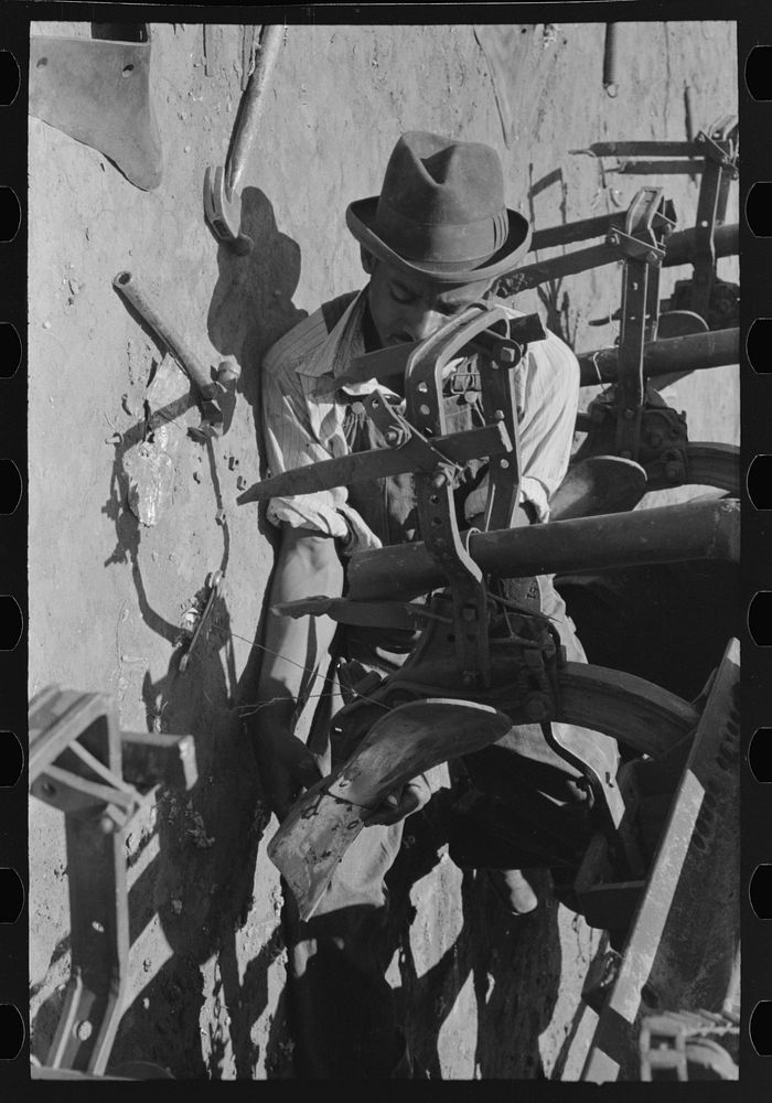  day laborer adjusting plow points on cotton planter, large farm near Ralls, Texas by Russell Lee
