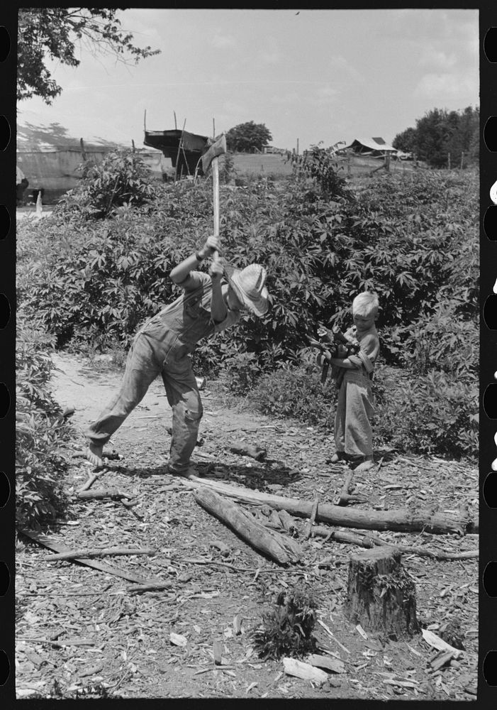 Children of day laborer chopping wood near Webber Falls, Muskogee County, Oklahoma by Russell Lee