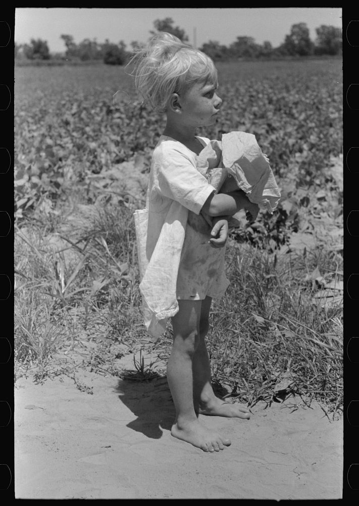 Child of white agricultural day laborer in string bean field near Muskogee, Oklahoma by Russell Lee