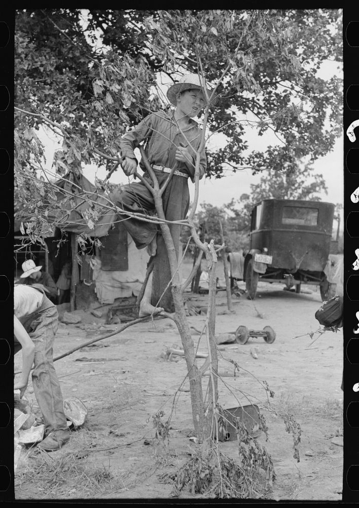 [Untitled photo, possibly related to: Child of itinerant statue maker, Poteau Creek near Spiro. Sequoyah County, Oklahoma]…