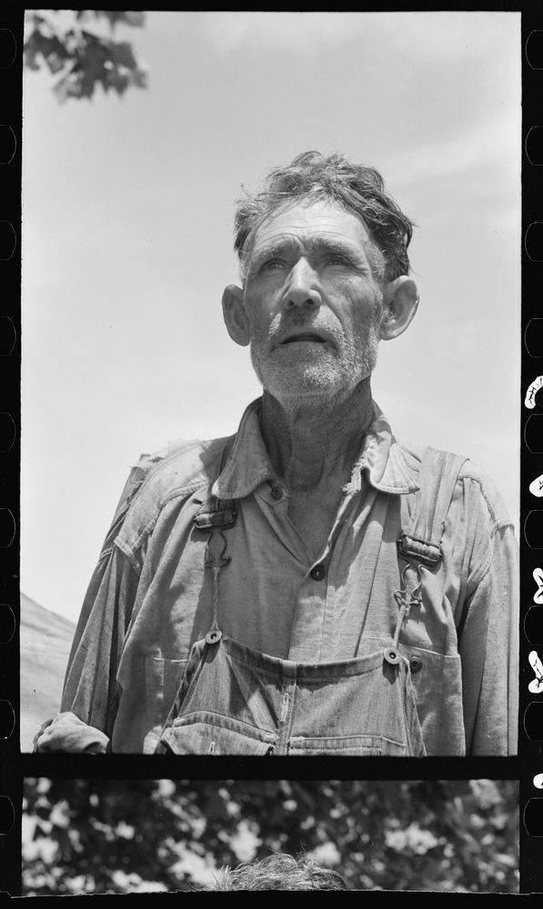 [Untitled photo, possibly related to: Veteran migrant agricultural worker. He has followed the road for about thirty years.…