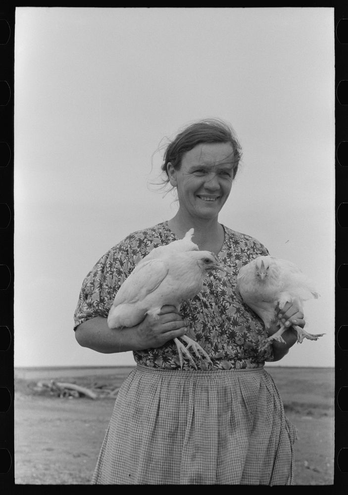 Mrs. Shoenfeldt, wife of FSA (Farm Security Administration) client, Sheridan County, Kansas. Chickens are an important part…