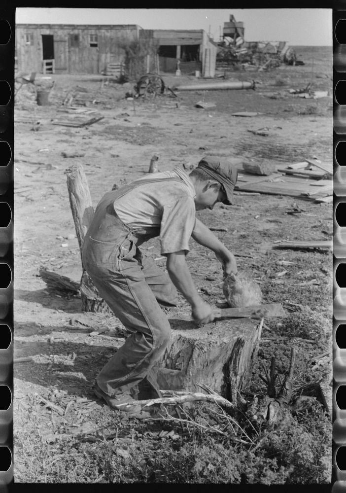 [Untitled photo, possibly related to: Son of Mr. Germeroth, FSA (Farm Security Administration) client, getting ready to cut…