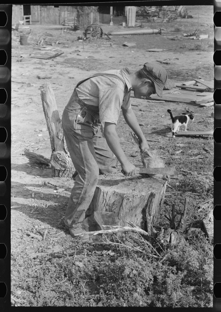 Son of Mr. Germeroth, FSA (Farm Security Administration) client, getting ready to cut off chicken's head, Sheridan County…