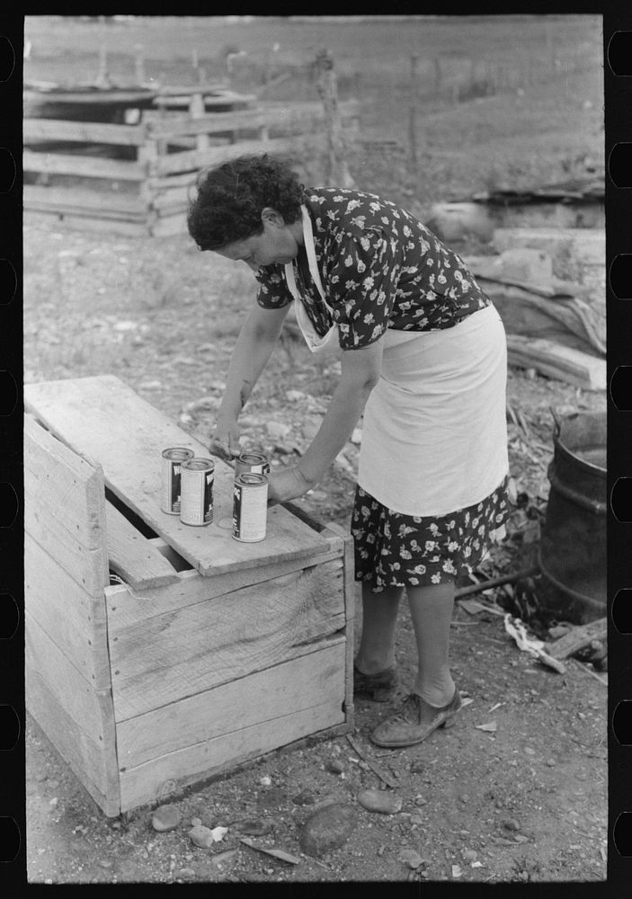 Opening cans of lye to use in making soap, FSA (Farm Security Administration) client, Taos County, New Mexico by Russell Lee