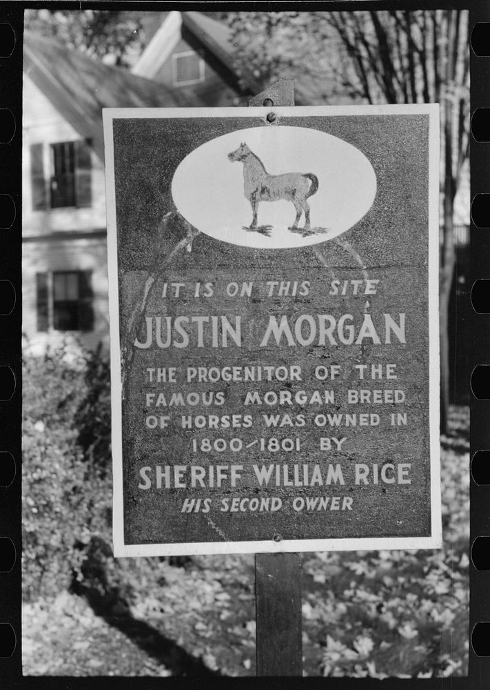 Sign, Woodstock, Vermont by Russell Lee
