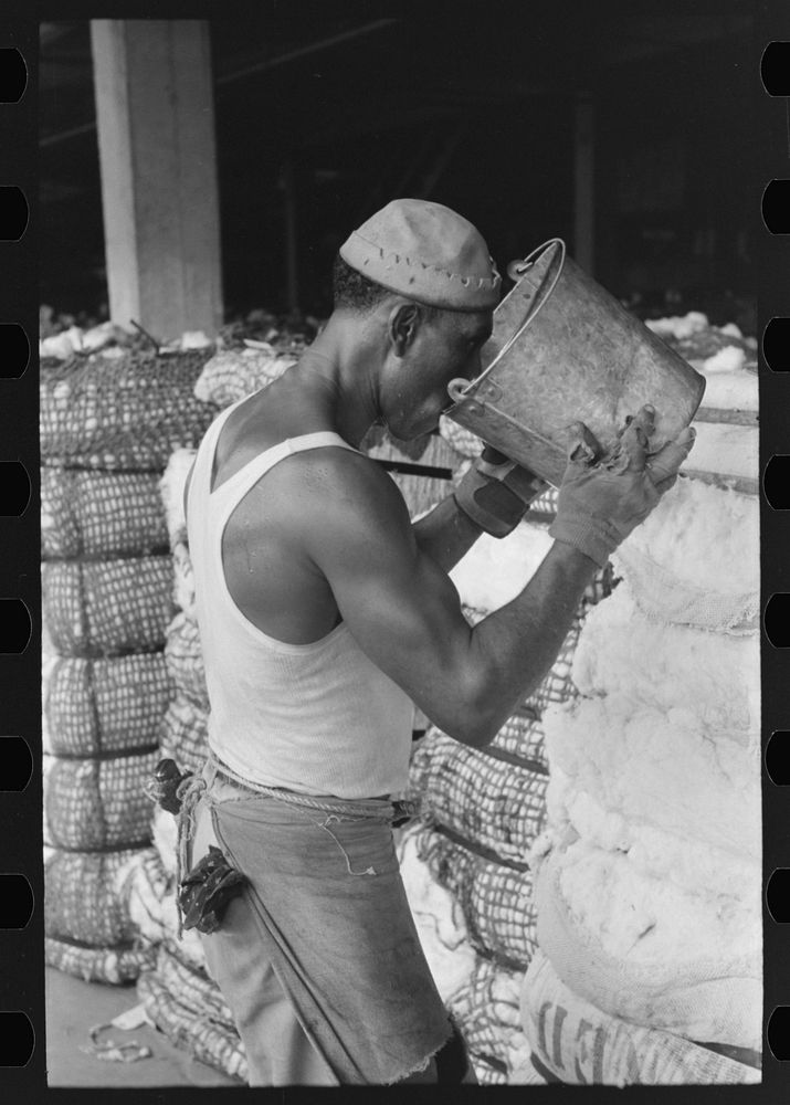 Worker at cotton compress taking a drink of water from bucket, Houston, Texas by Russell Lee