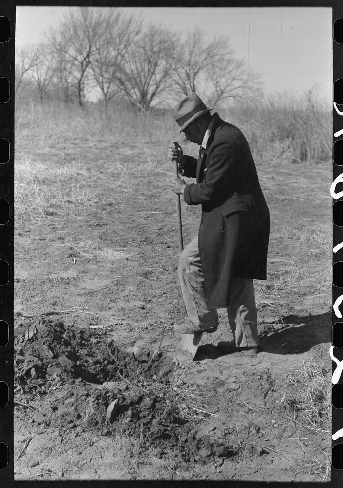Pomp Hall,  tenant farmer, digging a hole in the ground to see how far down the moisture goes, Creek County, Oklahoma. See…