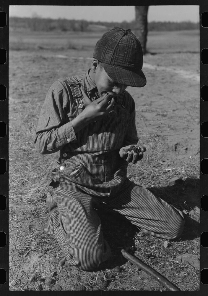 Son of Pomp Hall,  tenant farmer, eating  walnuts which were grown on their farm in Creek County, Oklahoma. See general…
