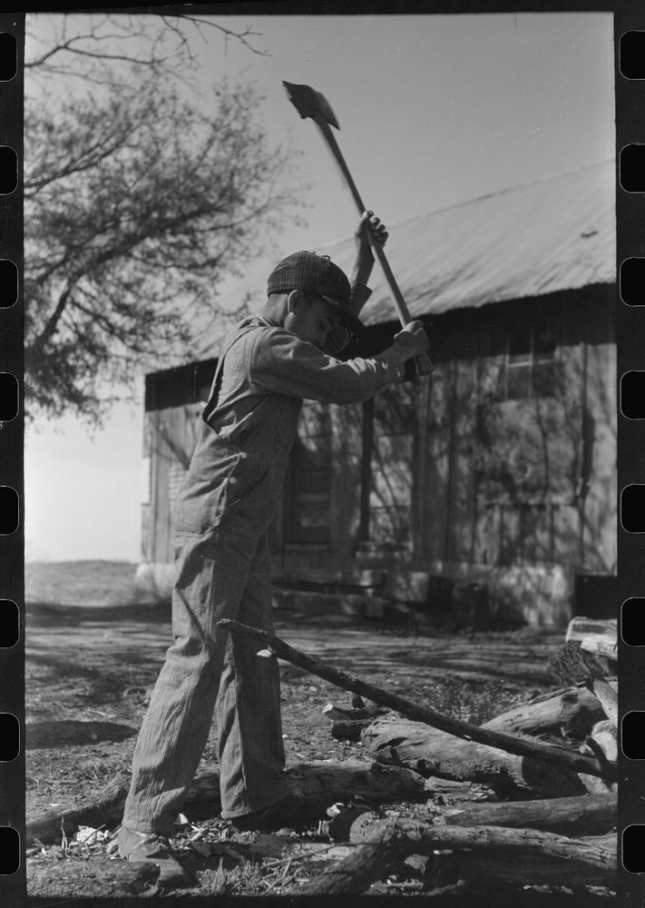 [Untitled photo, possibly related to: Son of Pomp Hall,  tenant farmer, eating  walnuts which were grown on their farm in…