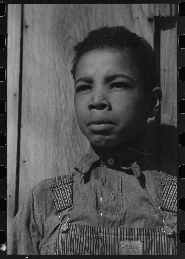 [Untitled photo, possibly related to: Son of Pomp Hall, tenant farmer, eating  walnuts which were grown on their farm in…