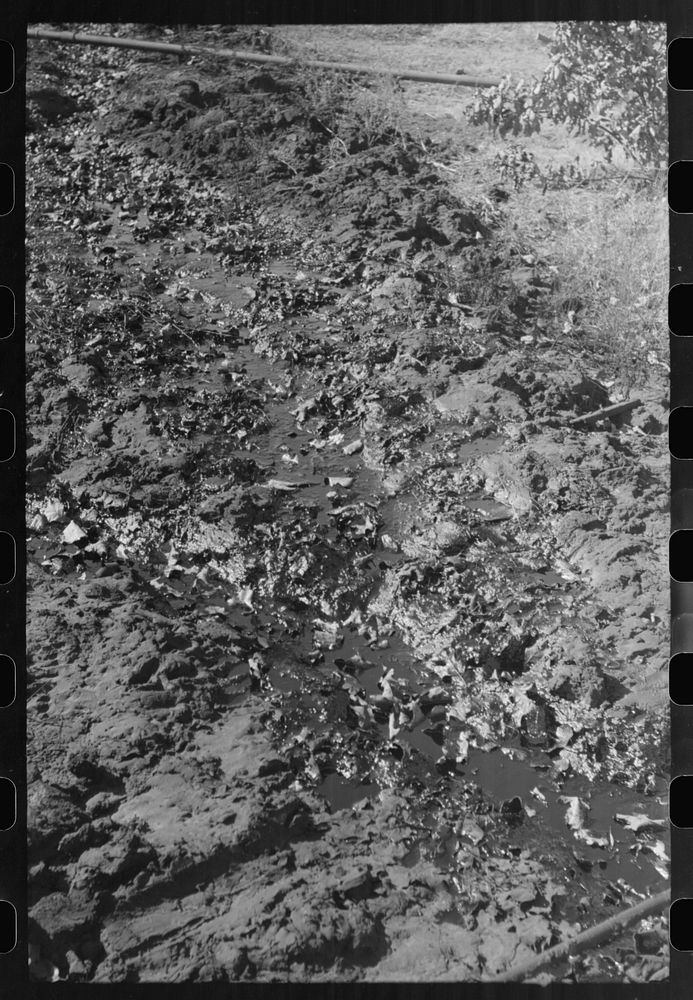 [Untitled photo, possibly related to: Stream of waste oil flowing from tanks to slush pits across the open field, Creek…