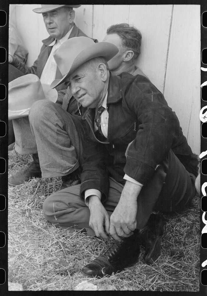 Ranchman watching the sheep judging at the San Angelo Fat Stock Show, San Angelo, Texas by Russell Lee