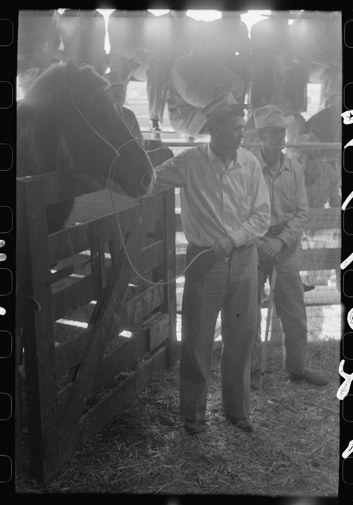 [Untitled photo, possibly related to: Spectators at auction of horses at the west Texas stockyards, San Angelo, Texas] by…