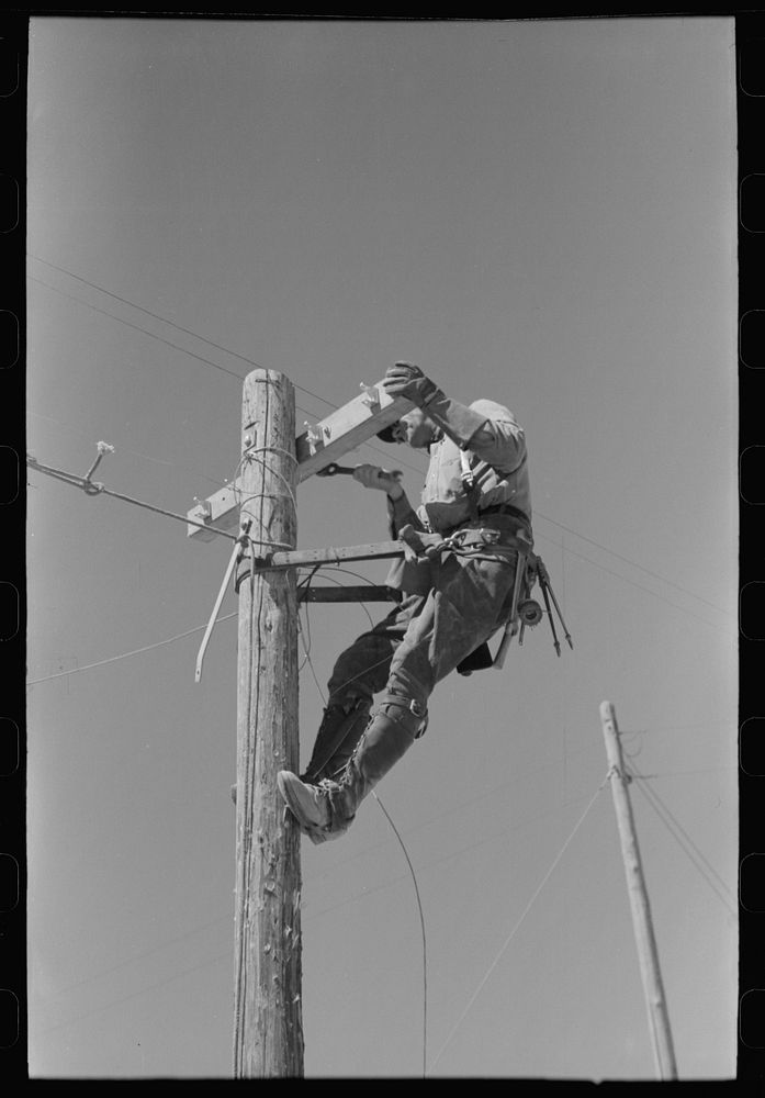 Lineman on telephone pole at the Casa Grande Valley Farms, Pinal County, Arizona by Russell Lee