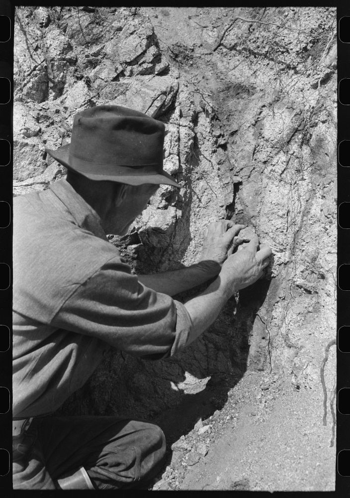 Prospector taking a sample of dirt from creek bed which contains scattered gold. Pinos Altos, New Mexico by Russell Lee