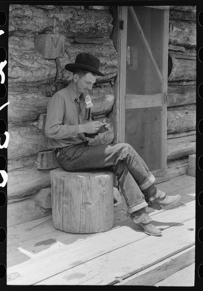 Farmer rolling a cigarette. Construction of log house is shown. This farmer rents farm and house from the man who…