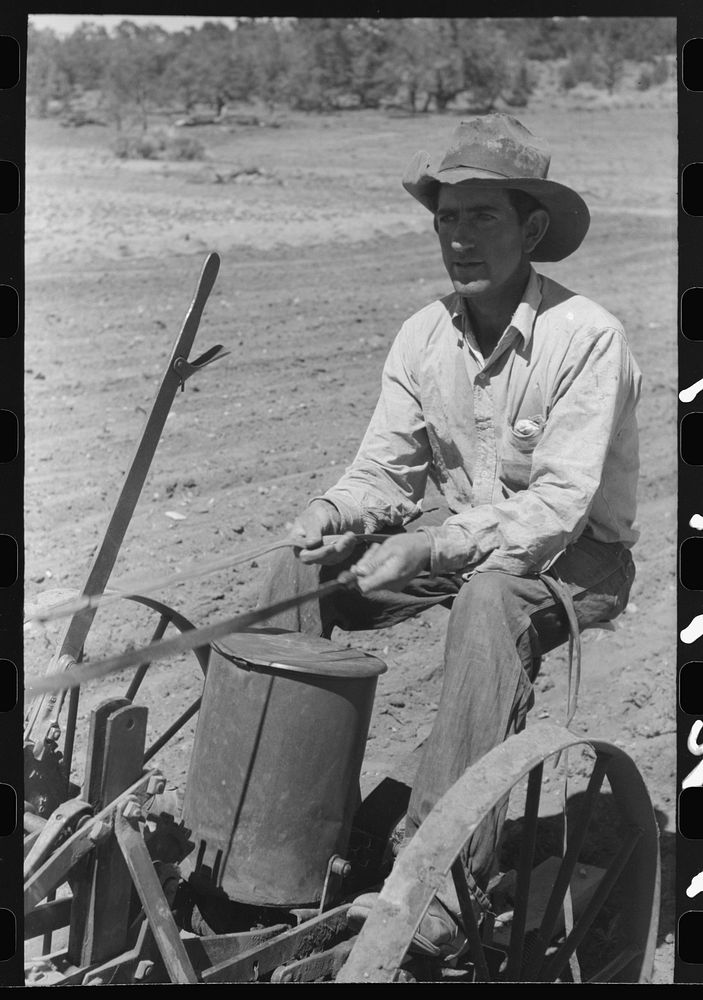 Faro Caudill planting beans, Pie Town, New Mexico by Russell Lee