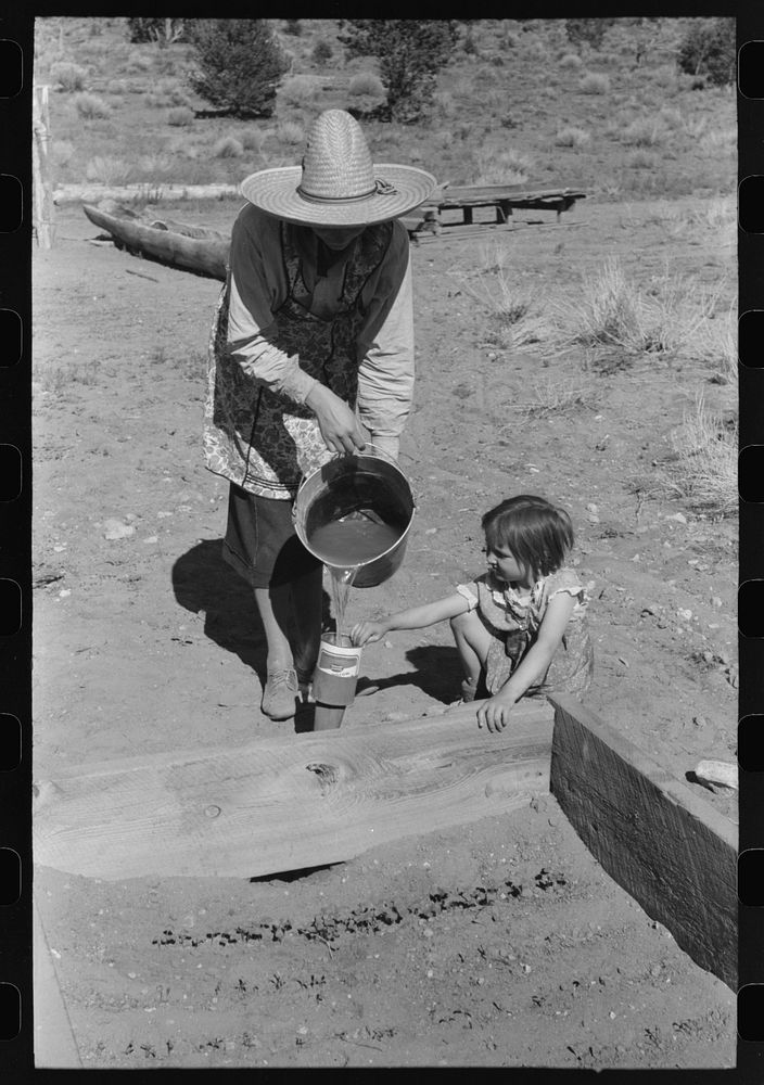 Mrs. Caudill and daughter watering frame garden, Pie Town, New Mexico by Russell Lee