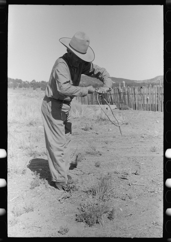 Forked stick twists and points downward in water witch's hands over proper location for well. Pie Town, New Mexico by…
