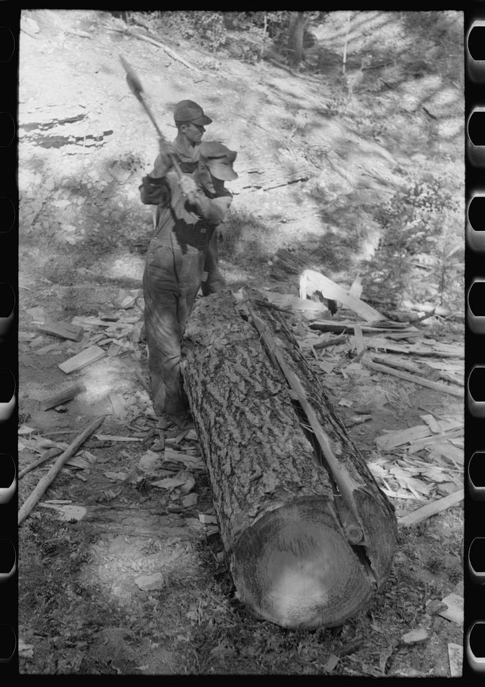 Tie cutter removing slab from pine log which will be hewn into ties, Pie Town, New Mexico by Russell Lee