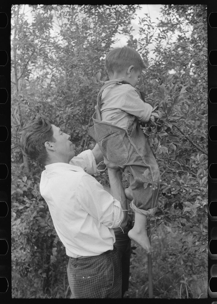 Spanish-American farmer and his nephew in the orchard, Chamisal, New Mexico by Russell Lee