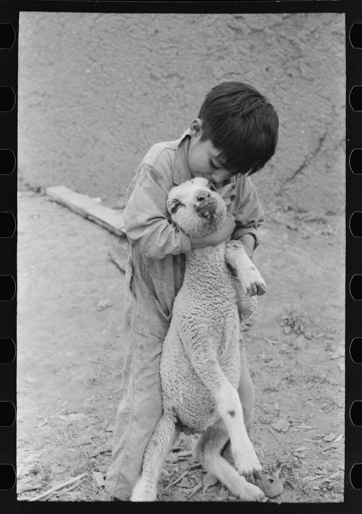 [Untitled photo, possibly related to: Spanish-American boy with lamb, Amalia, New Mexico] by Russell Lee