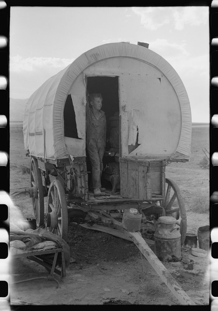 Snowville, Utah. Camp of a dry farmer in Oneida County, Idaho. He lives in Snowville, camping out during the busy seasons by…