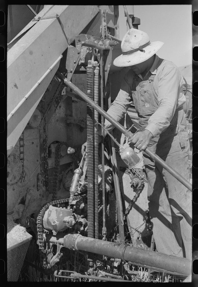Member of FSA (Farm Security Administration) cooperative greasing the machinery, Box Elder County, Utah by Russell Lee