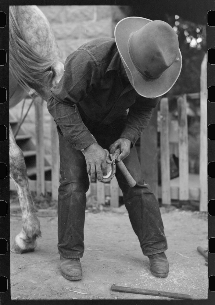 [Untitled photo, possibly related to: Mormon farmer shoeing a horse, Santa Clara, Utah] by Russell Lee