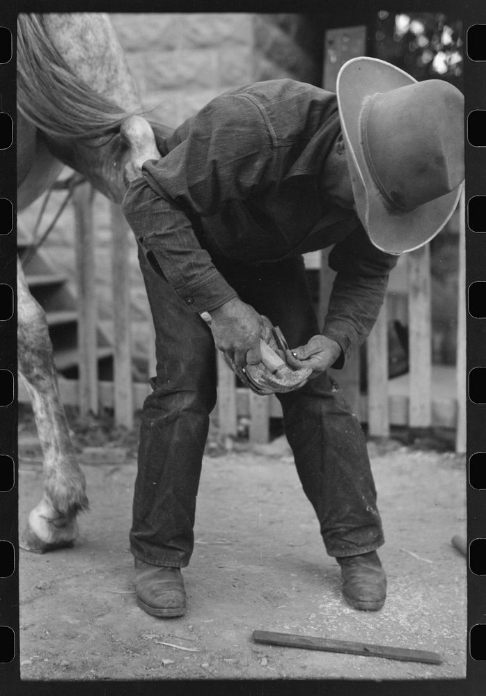 [Untitled photo, possibly related to: Mormon farmer shoeing a horse, Santa Clara, Utah] by Russell Lee