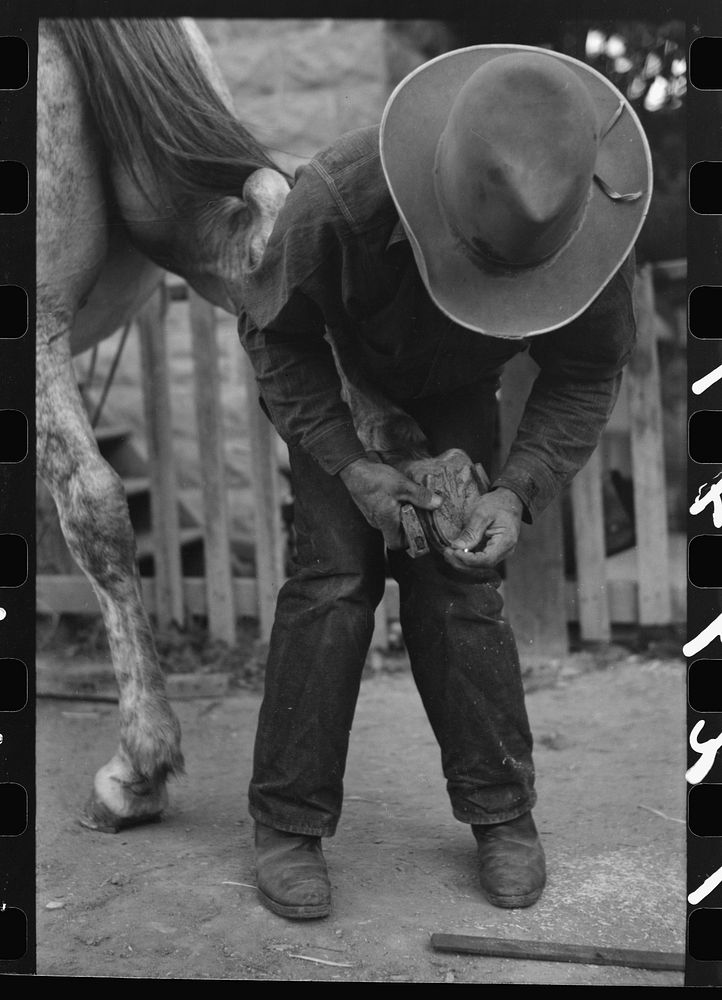 Mormon farmer shoeing a horse, Santa Clara, Utah by Russell Lee