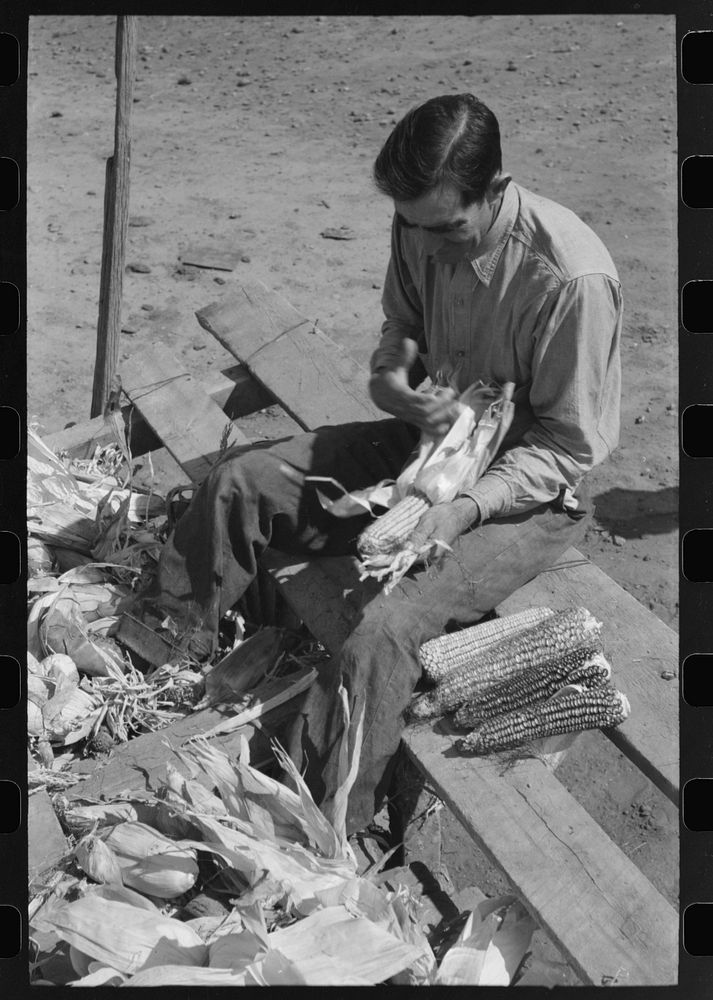 [Untitled photo, possibly related to: Farmer of Spanish extraction husking corn, Concho, Arizona] by Russell Lee