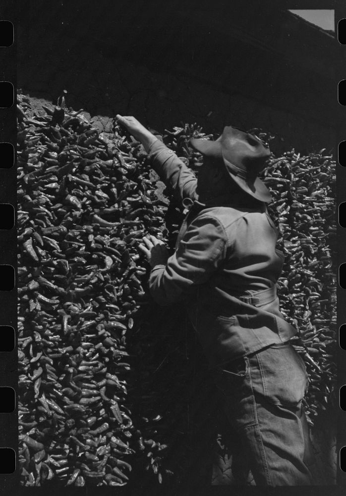 [Untitled photo, possibly related to: Chili peppers drying on side of adobe house, Concho, Arizona] by Russell Lee