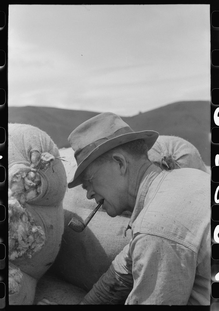 [Untitled photo, possibly related to: Checkers at sheep shearing outfit, Malheur County, Oregon] by Russell Lee