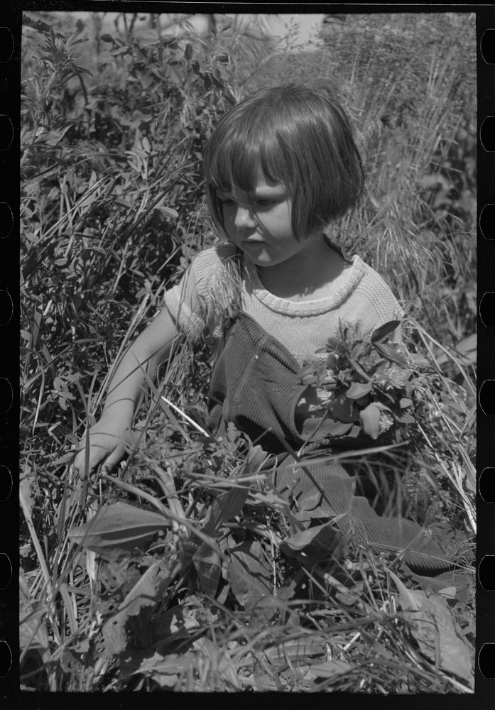 Child of farm worker who lives at the FSA (Farm Security Administration) labor camp. Caldwell, Idaho by Russell Lee
