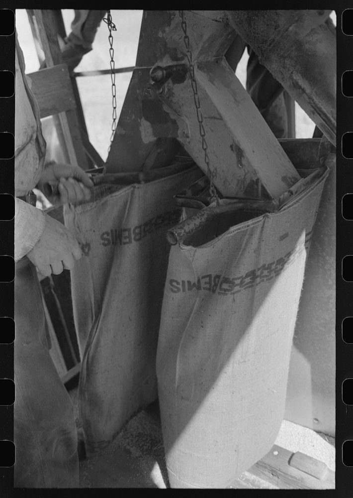 Walla Walla County, Washington. Filling Bemis bags with wheat harvested with the combine by Russell Lee