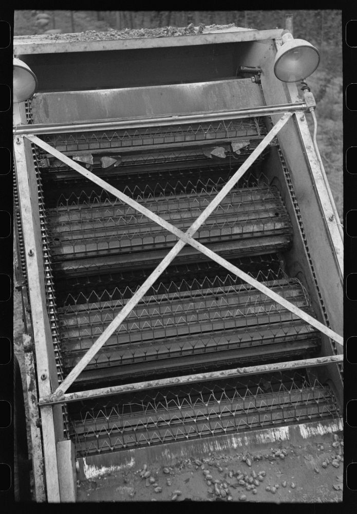 Detail of cleaning apparatus on portable-type mechanical hop picker, Yakima Chief Hop Ranch, Yakima County, Washington by…