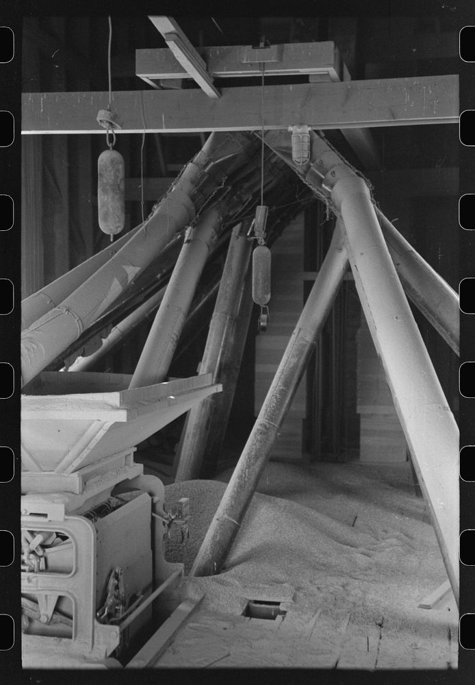 [Untitled photo, possibly related to: Directing bulk wheat after combine has been through. Eureka Flats, Walla Walla County…