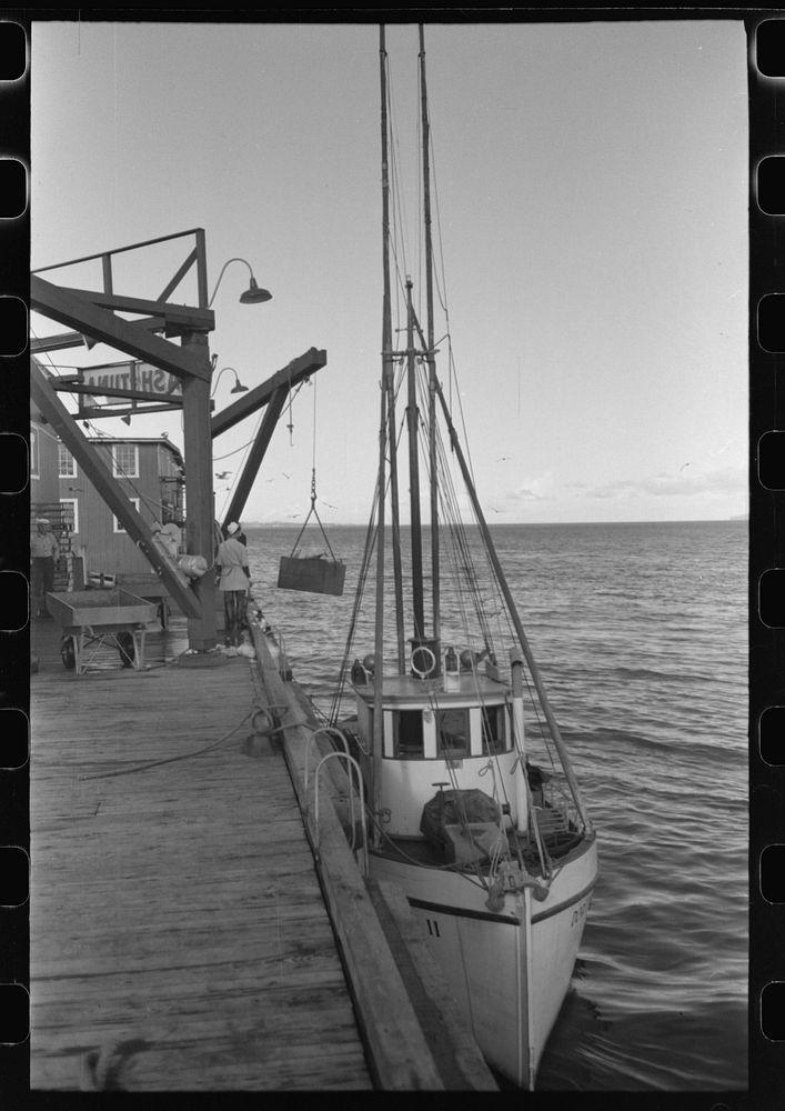Fishing boat unloading at docks of Columbia River Packing Association, Astoria, Oregon by Russell Lee