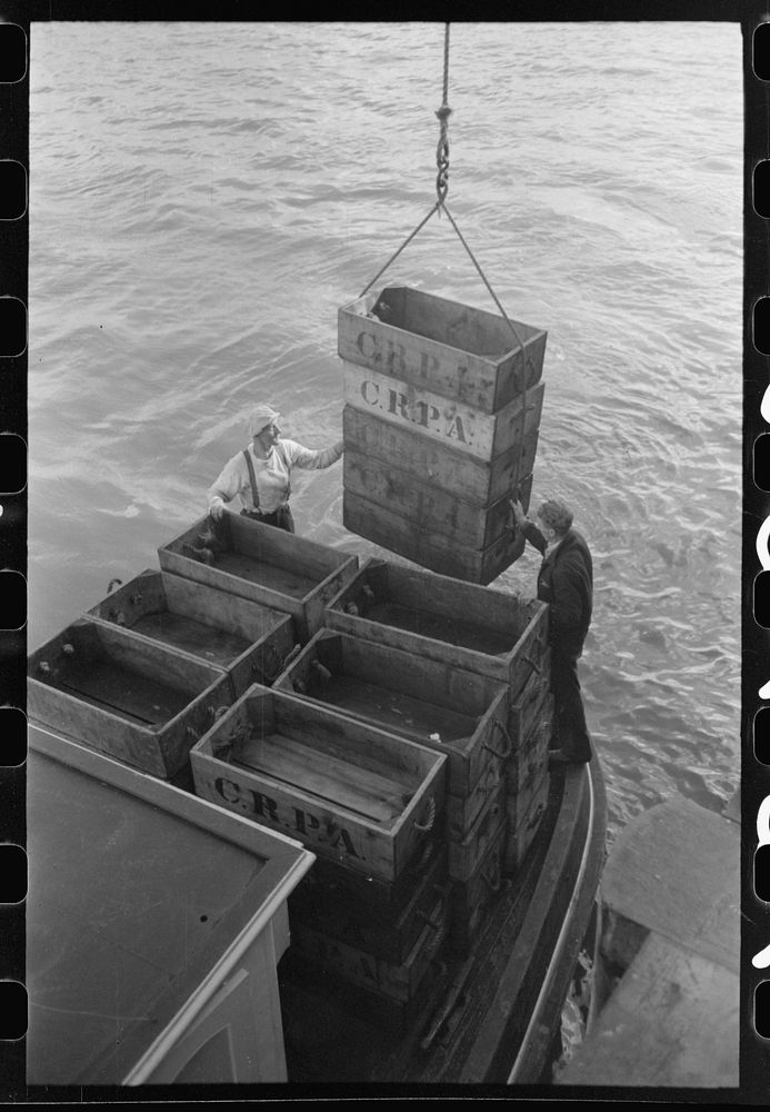 Putting empty boxes aboard fishing boat that is heading for the fishing grounds, Astoria, Oregon by Russell Lee