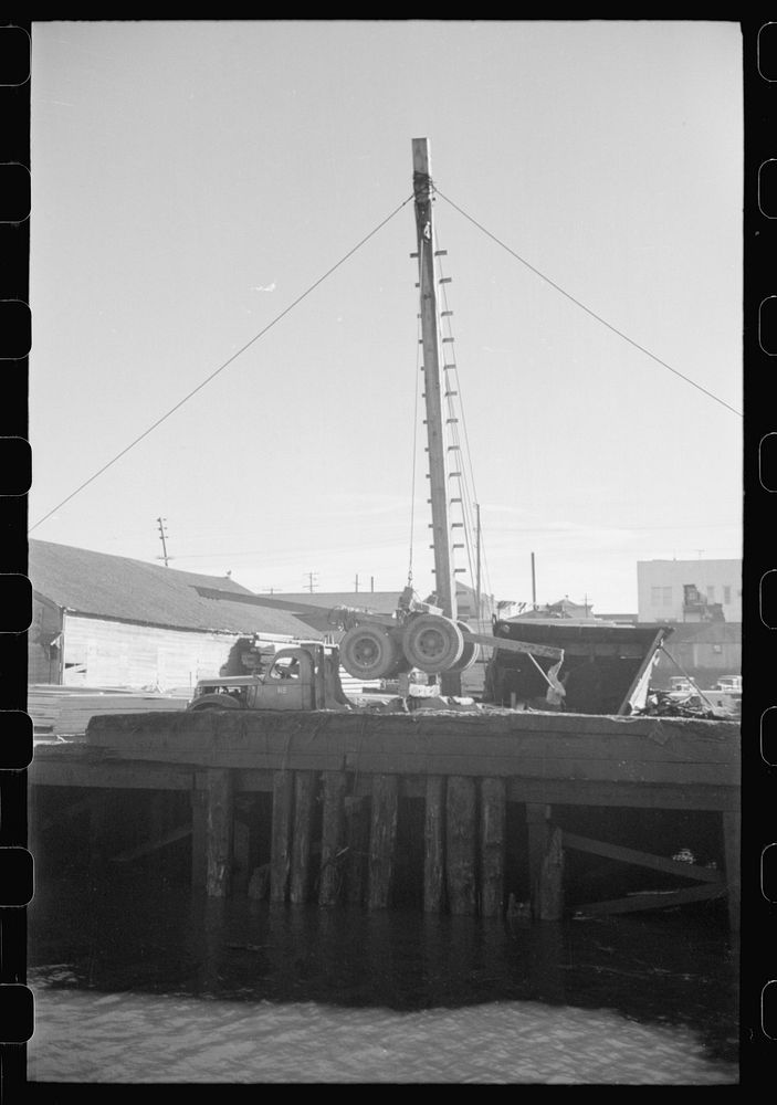 [Untitled photo, possibly related to: Loading onto trailer truck, logging operations, Tillamook County, Oregon. The trailer…