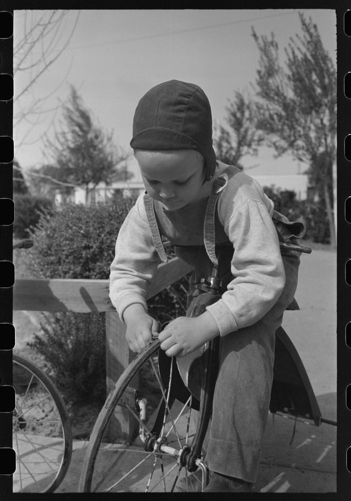 Little boys at the FSA (Farm Security Administration) Camelback farms, Phoenix, Arizona by Russell Lee