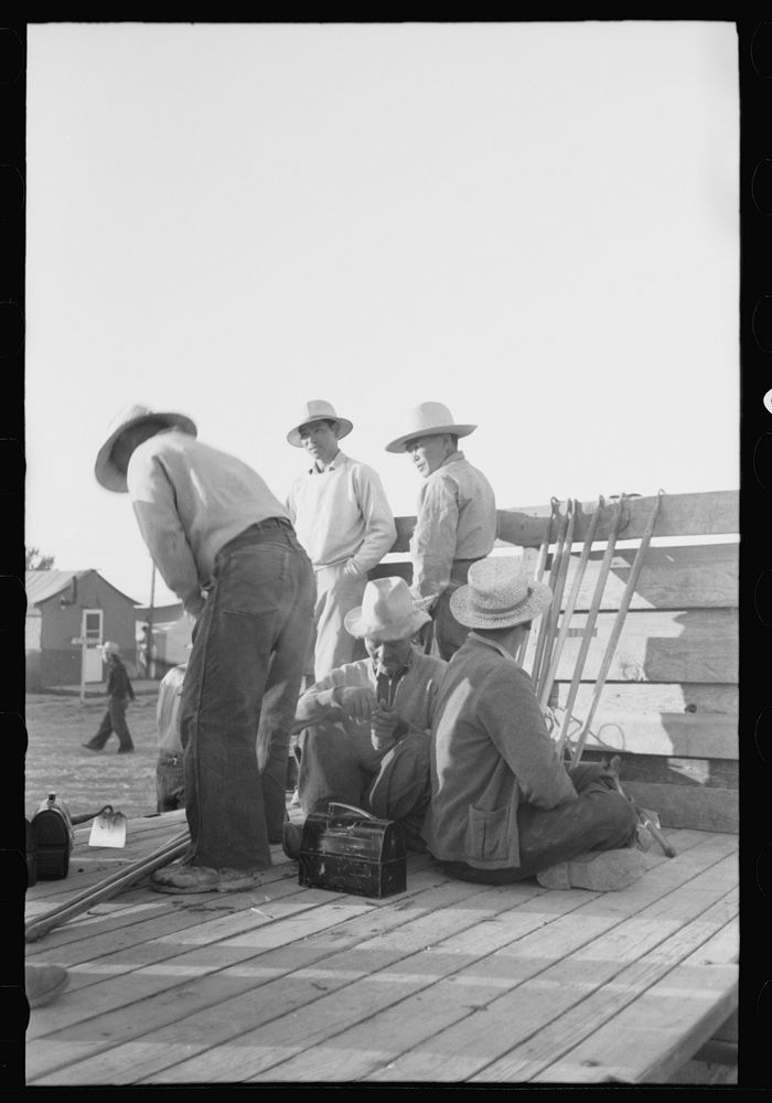 [Untitled photo, possibly related to: Nyssa, Oregon. FSA (Farm Security Administration) mobile camp. Trucks provided by…