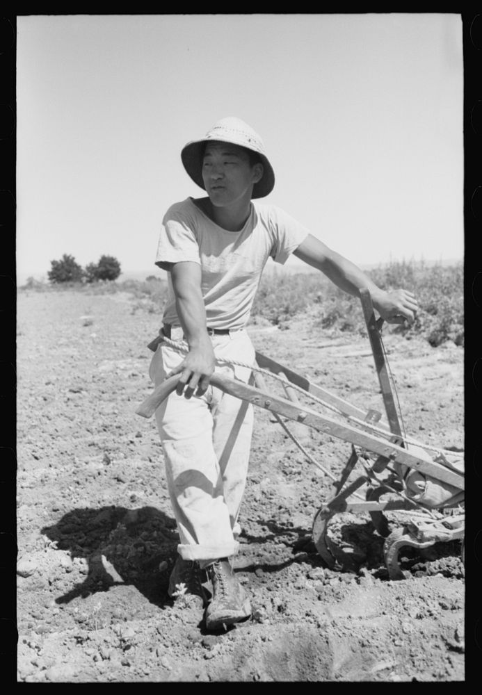 Malheur County, Oregon. Japanese-American who lives on the farm as a day laborer by Russell Lee